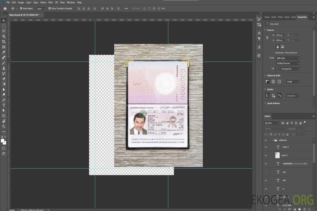 Look de photo de passeport de Bahreïn template